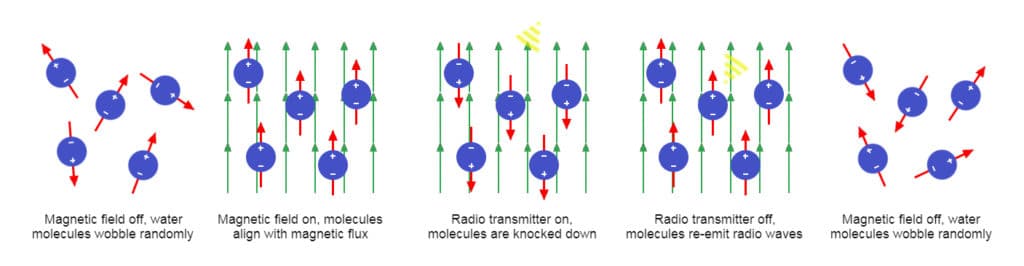 How do strong magnetic fields (1.5 - .0 tesla) in MRI scanners, water and radio frequencies produce images.