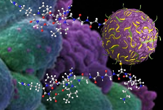 Nanosponges-for-Drug-Delivery[1]