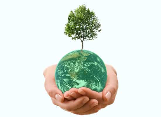 Visions for a more environmentally friendly tomorrow