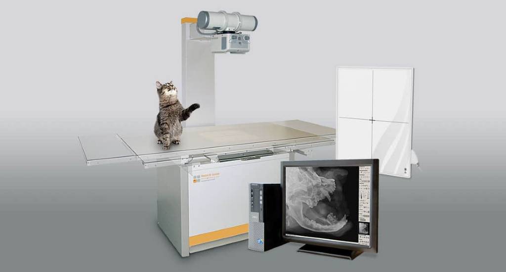 Medical imaging equipment for veterinarians