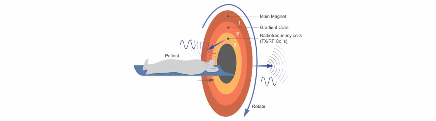 MRI scanner magnetic field and coils and